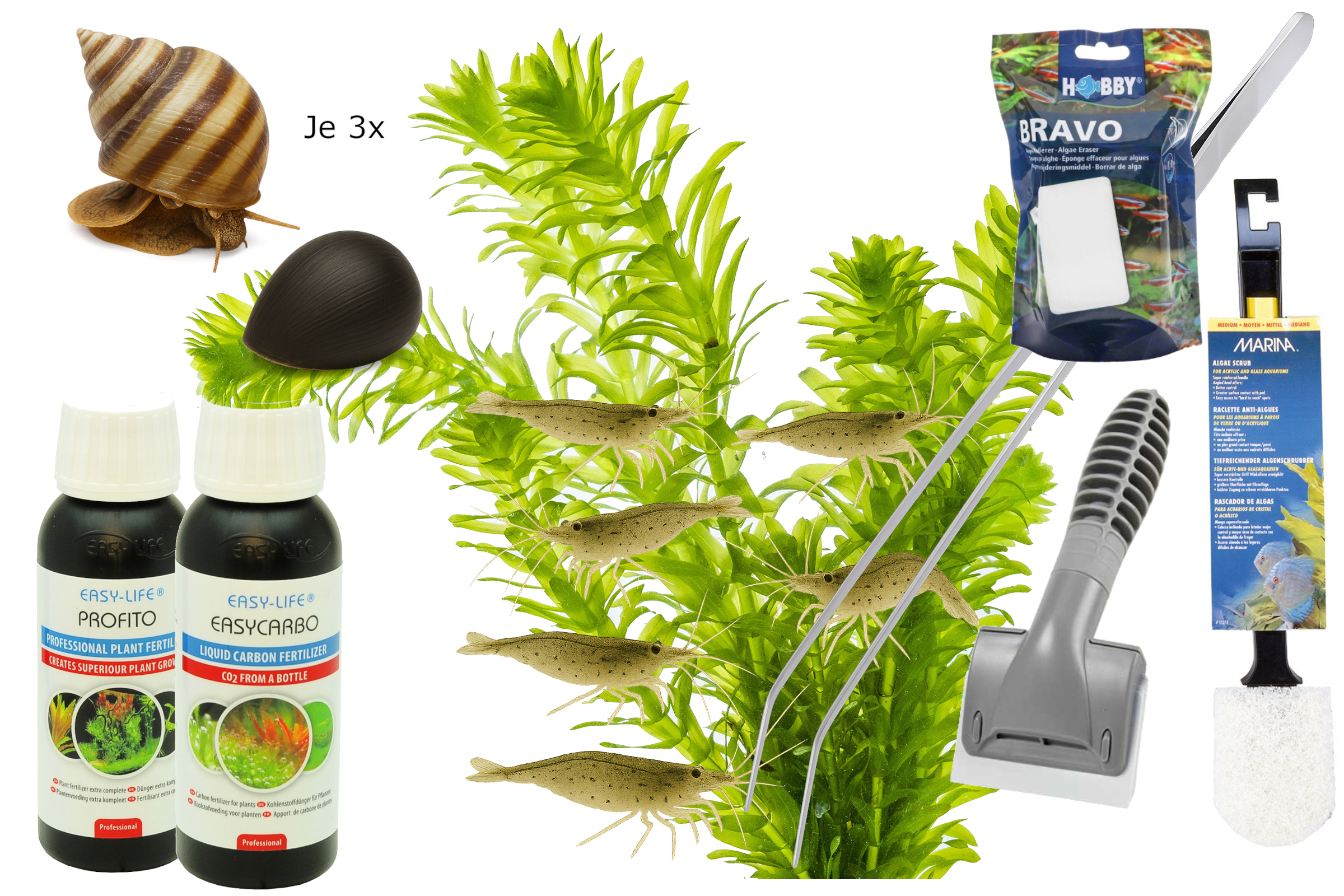 Anti-Algenpaket mit Garnelen, Schnecken und Tools